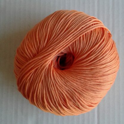 369 - 55 Salmone